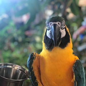 Meet your Posher, Brant