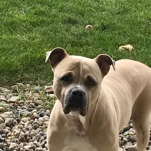 Meet your Posher, Ann