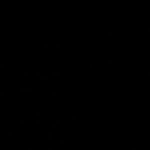 Meet your Posher, Petra