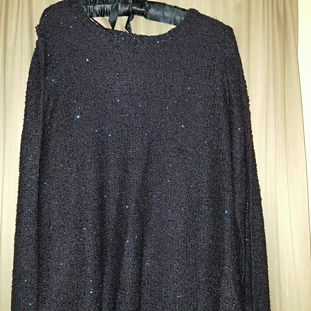 Sparkly plum sweater Apt 9