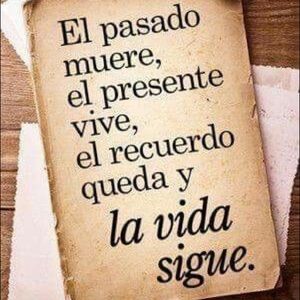 Meet your Posher, Ana