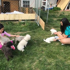 Meet your Posher, Faith