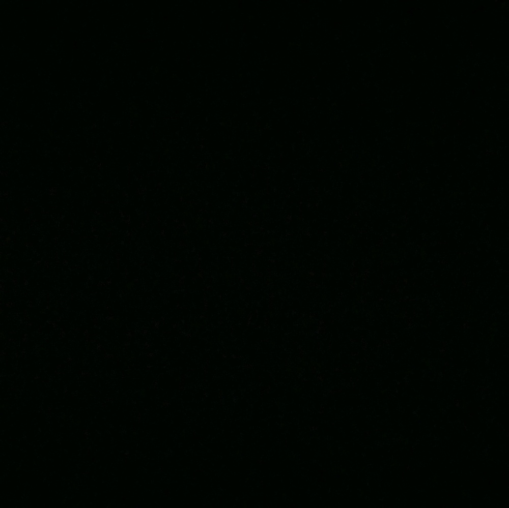 Meet your Posher, Yadi