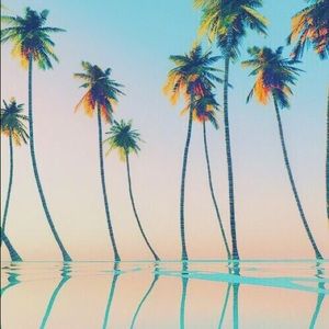 Meet your Posher, Geneva