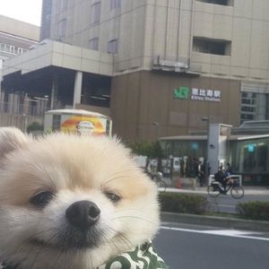 Meet your Posher, Audrey