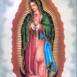 Meet your Posher, Benny