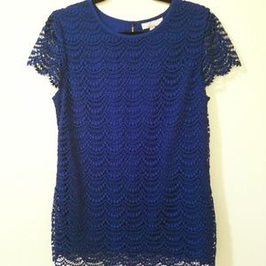 Banana Republic Cobalt Royal Blue Lace Top