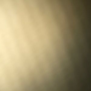 Meet your Posher, Carlee