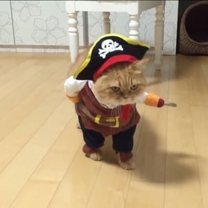 Meet your Posher, Fred