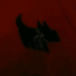 Meet your Posher, Allyson