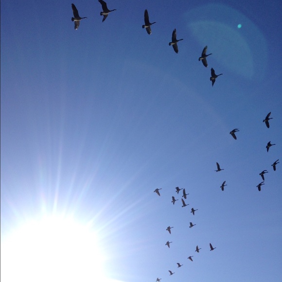 Meet your Posher, Tammy - Picture 1 of 1