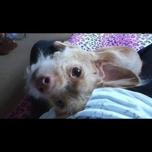 Meet your Posher, Miriam