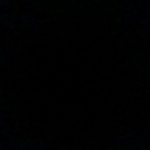 Meet your Posher, Sally