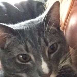 Meet your Posher, Alenna