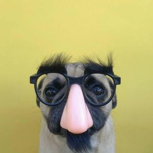 Meet your Posher, Deanna