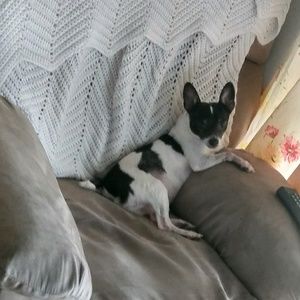 Meet your Posher, Heidi