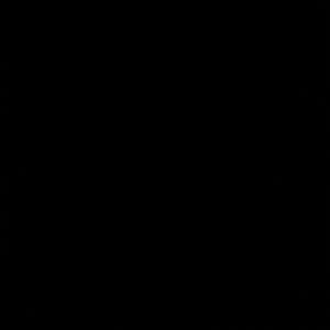 Meet your Posher, Riley