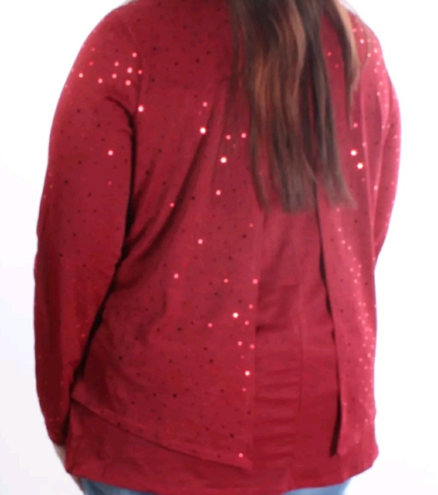 NY COLLECTION WOMEN'S RED PINSTRIP LONG SLEEVE TOP - Picture 2 of 4