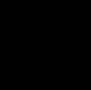 Meet your Posher, Arjay