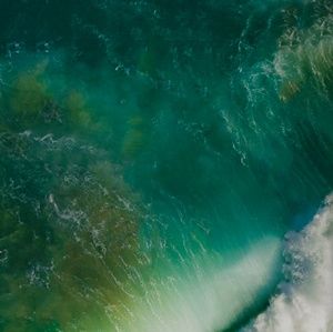 Meet your Posher, Mario