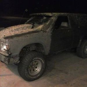 Meet your Posher, Wayne