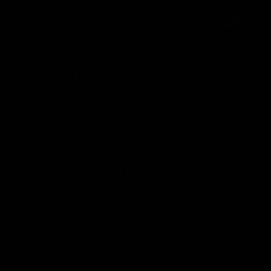 Meet your Posher, Briana