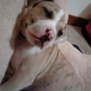 Meet your Posher, Julio