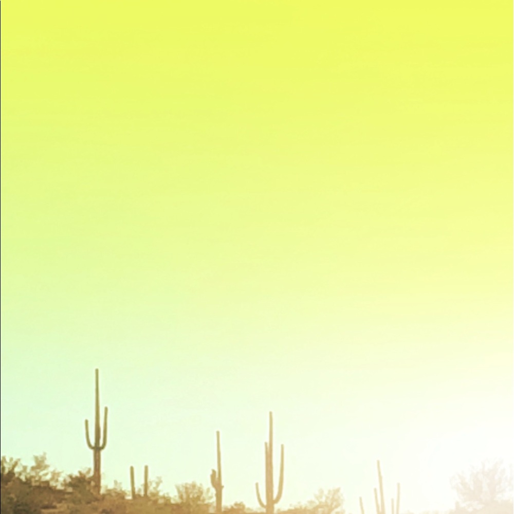 Meet your Posher, Paige