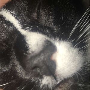 Meet your Posher, Niki