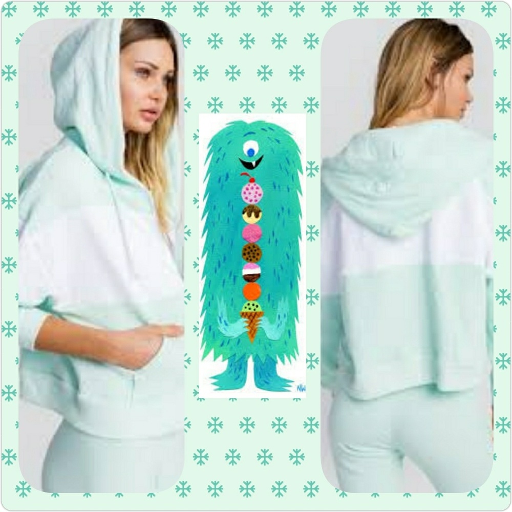 Wildfox "Blocked Marquis" Zip Hoodie