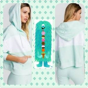 Wildfox "Blocked Marquis" Zip Hoodie