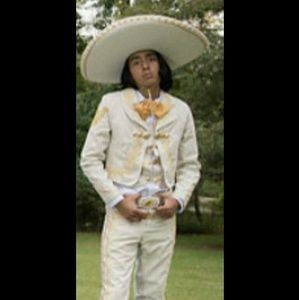 Meet your Posher, Henry