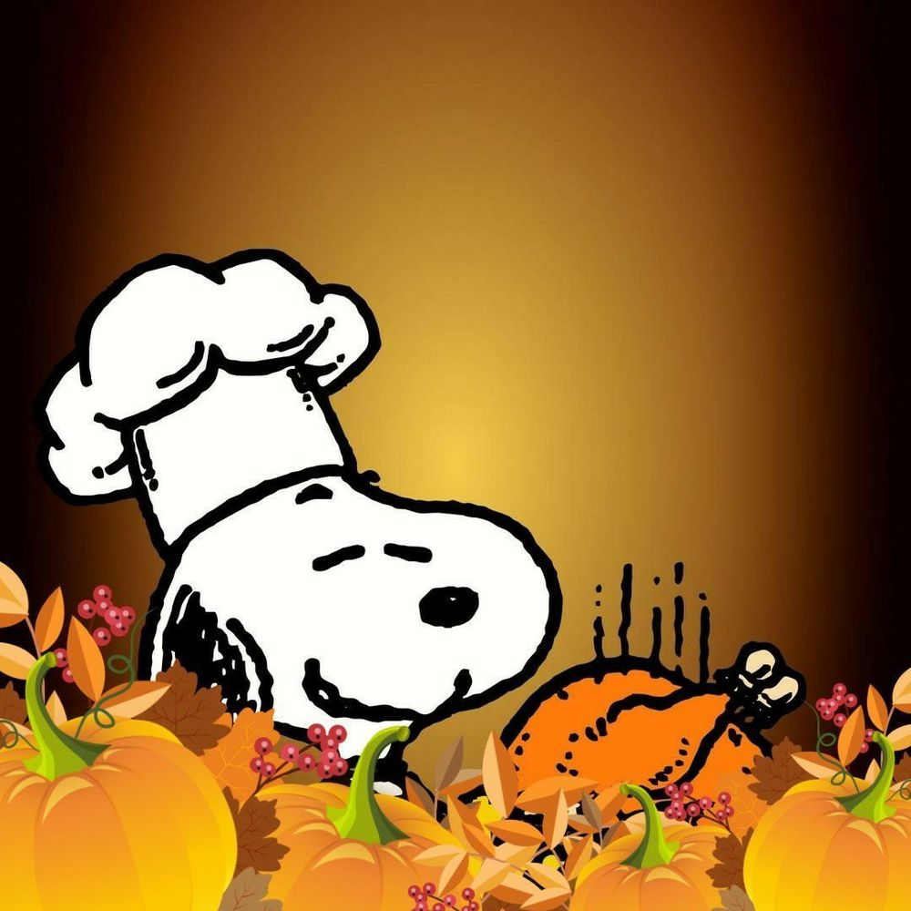 Meet your Posher, Flora