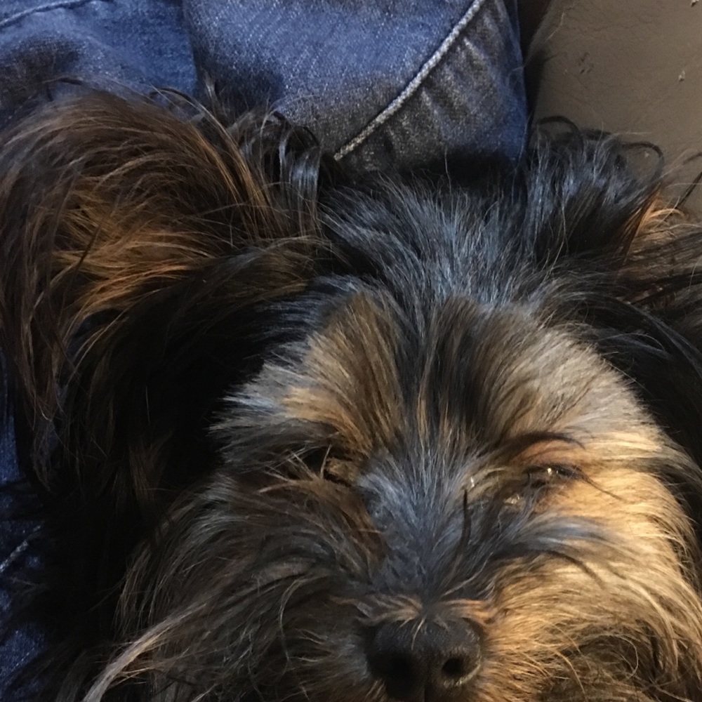 Meet your Posher, Jewel