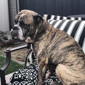 Meet your Posher, Eunice