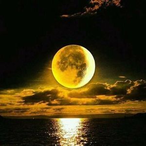 Meet your Posher, Aana