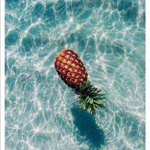 Meet your Posher, Joy