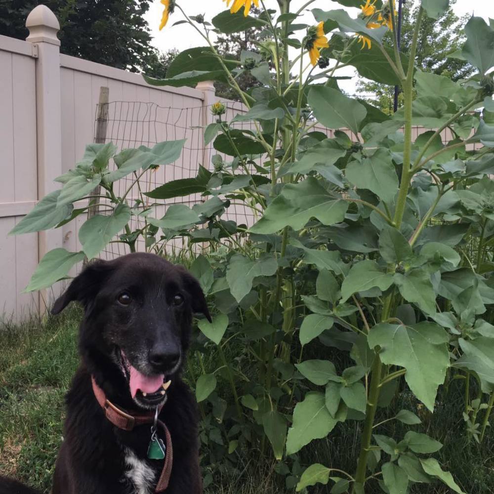 Meet your Posher, Merrie