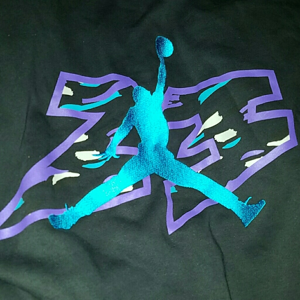 Air Jordan Retro 8 Aquas Zipup Hoodie