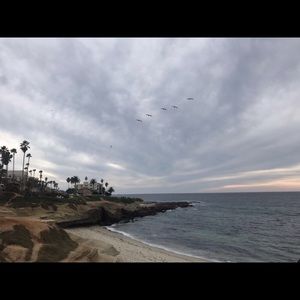 Meet your Posher, Paridhi