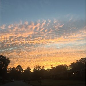 Meet your Posher, Shalonda