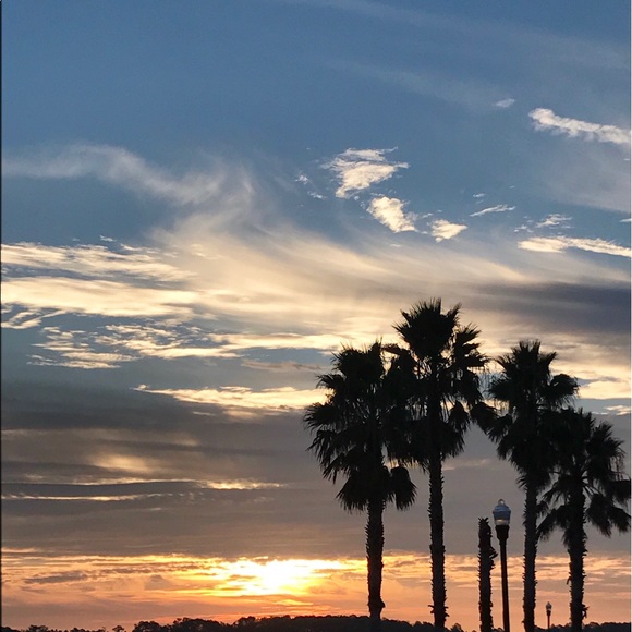 Meet your Posher, Yolanda - Picture 1 of 1