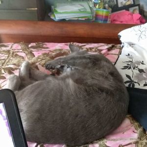 Meet your Posher, Cindy