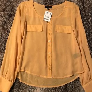 NWT sheer long sleeve button up top