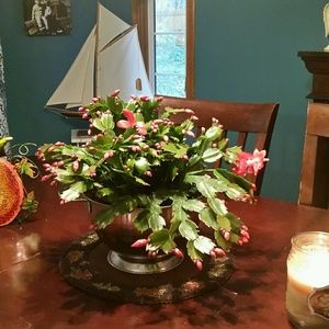 Meet your Posher, Roberta