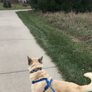 Meet your Posher, Kelsey