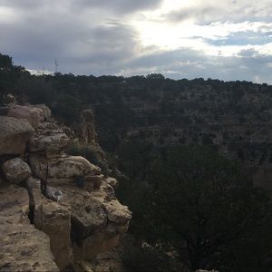 Meet your Posher, Trisha