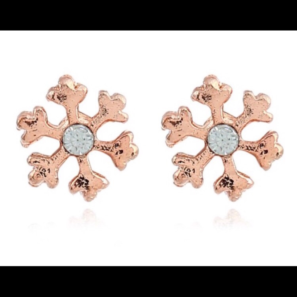 ❄️ snowflake earrings ❄️