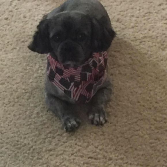 Meet your Posher, Pegues - Picture 1 of 1