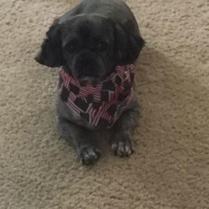 Meet your Posher, Pegues